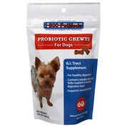 Probiotic Chewys G.I. Tract Supplement for Dogs | 1800PetMeds