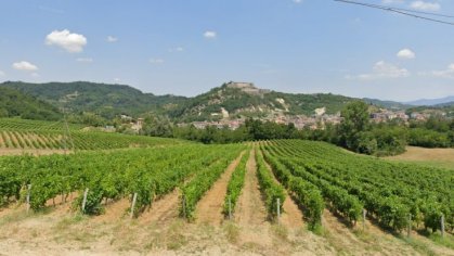 Gavi - Cortese di Gavi, Piedmont [Piemonte] - Italy Wine Region | Wine-Searcher