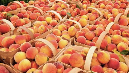 how best to freeze fresh peaches