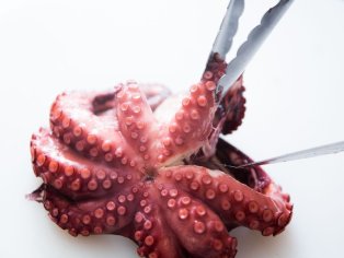 Perfectly Cooked Boiled Octopus Recipe