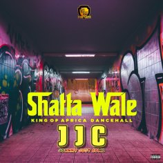 ‎Jjc - Single by Shatta Wale on Apple Music