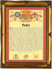 Surname Database: Pedri Last Name Origin
