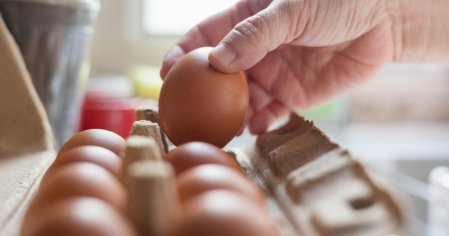 How to make hard boiled eggs? - The Limited Times