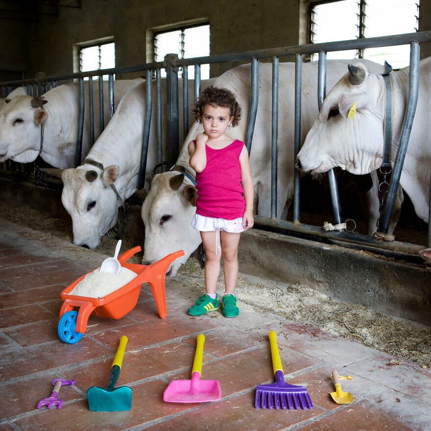 Girl in front of cows